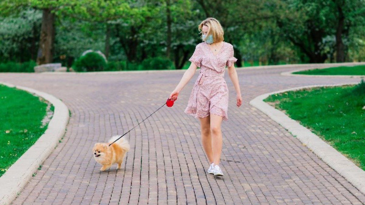 В Украине снова за сутки почти 2,5 тысяч случаев коронавируса: сколько в Киеве