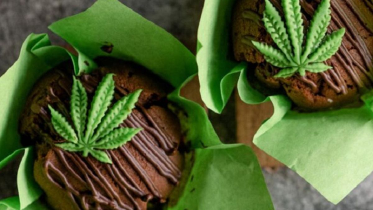 В Киеве расскажут, как использовать коноплю в лечебных целях и для бизнеса: где и когда