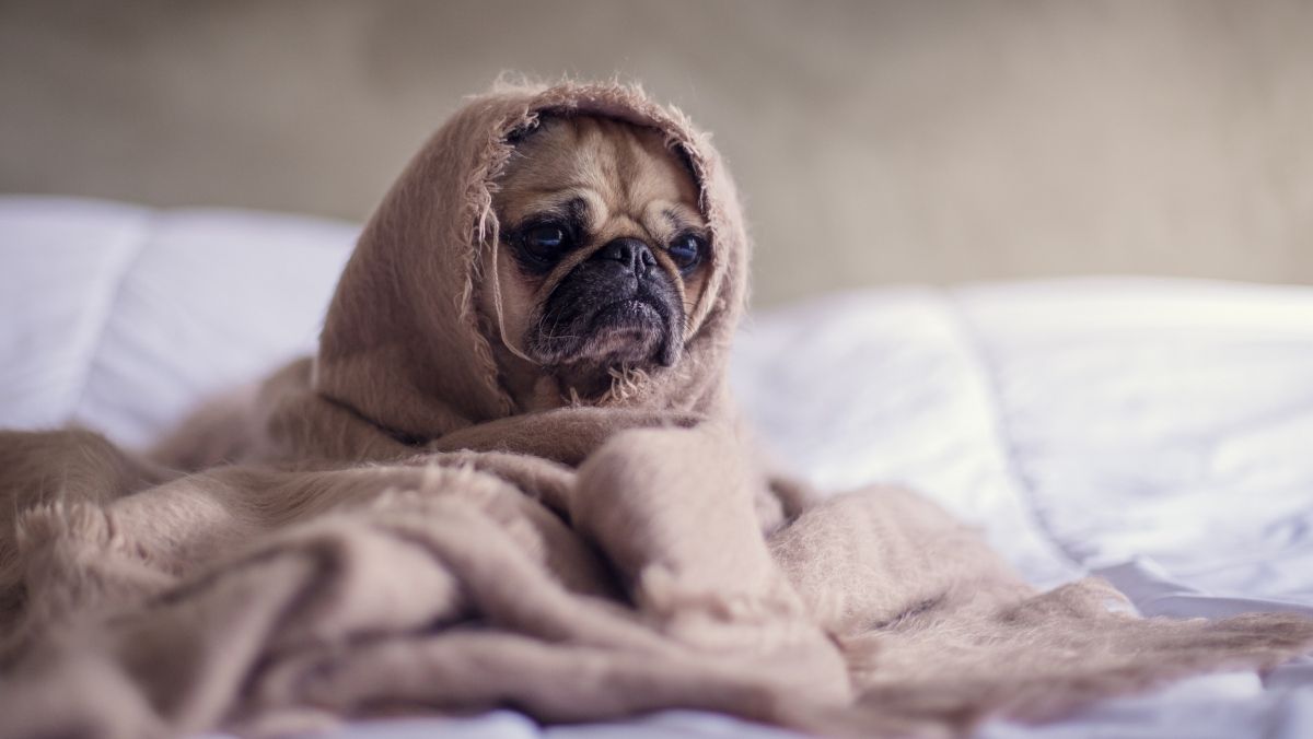 Почему в Киеве до сих пор не во всех домах появилось отопление