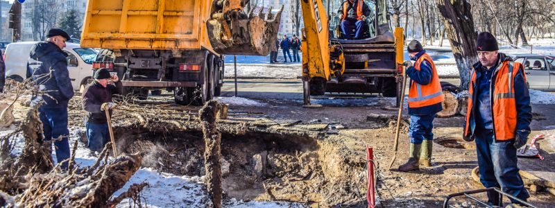 На Куреневке упавший тополь погромил машины и прорвал водопровод