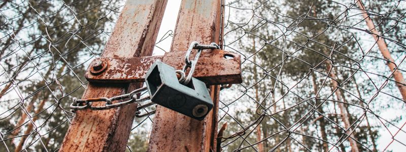 Экологи показали, что происходит на угодьях Януковича под Киевом