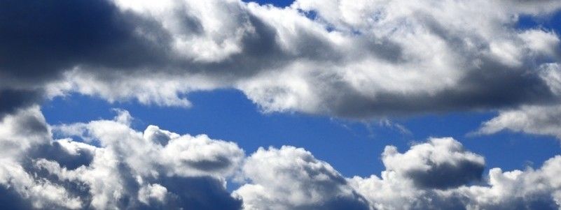 Погода на 1 февраля: в Киеве будет облачно