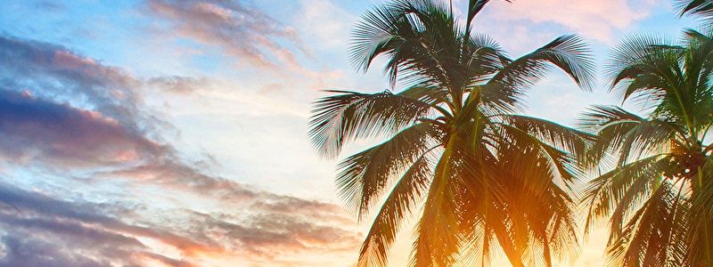 Стали известны имена новых ведущих шоу "Орел и Решка"