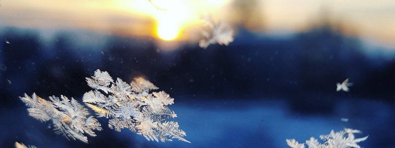 Погода на 8 февраля: в Киеве ожидается мокрый снег и гололед