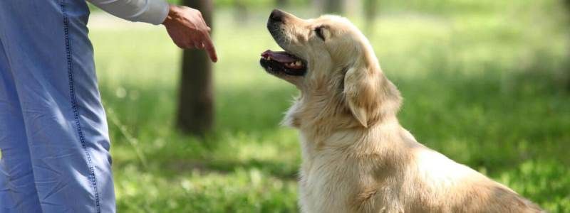 Какие курсы, тренинги и мастер-классы ждут жителей Киева на этой неделе