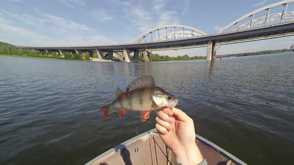 ТОП-10 мест в Киеве для идеальной рыбалки