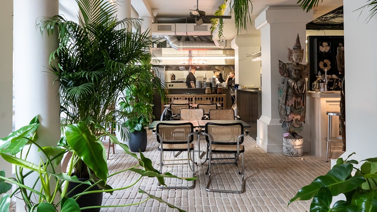 Как создать ресторан – Миша и Даша Кацурины выпустили фильм о том, как рождался “Тайский привет”