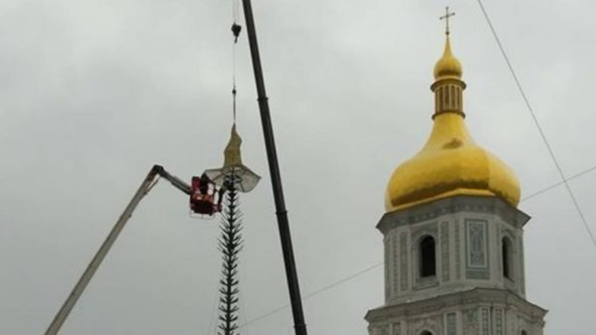 В Киеве на Софийской площади завершили сборку новогодней елки: как она выглядит