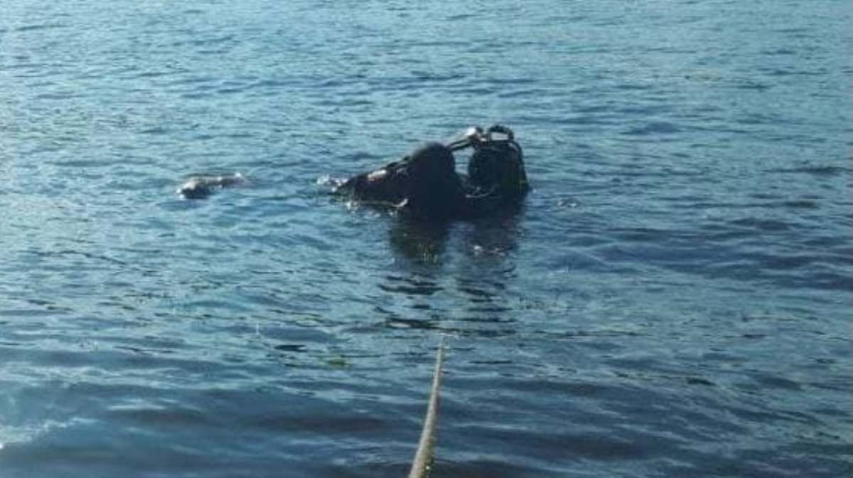 В Киеве из реки Лыбедь достали тело мужчины