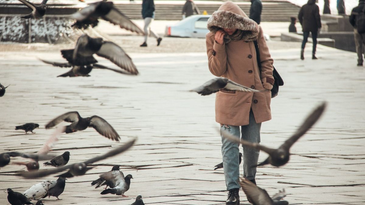 В Киеве объявили желтый уровень опасности из-за погоды: чего стоит опасаться