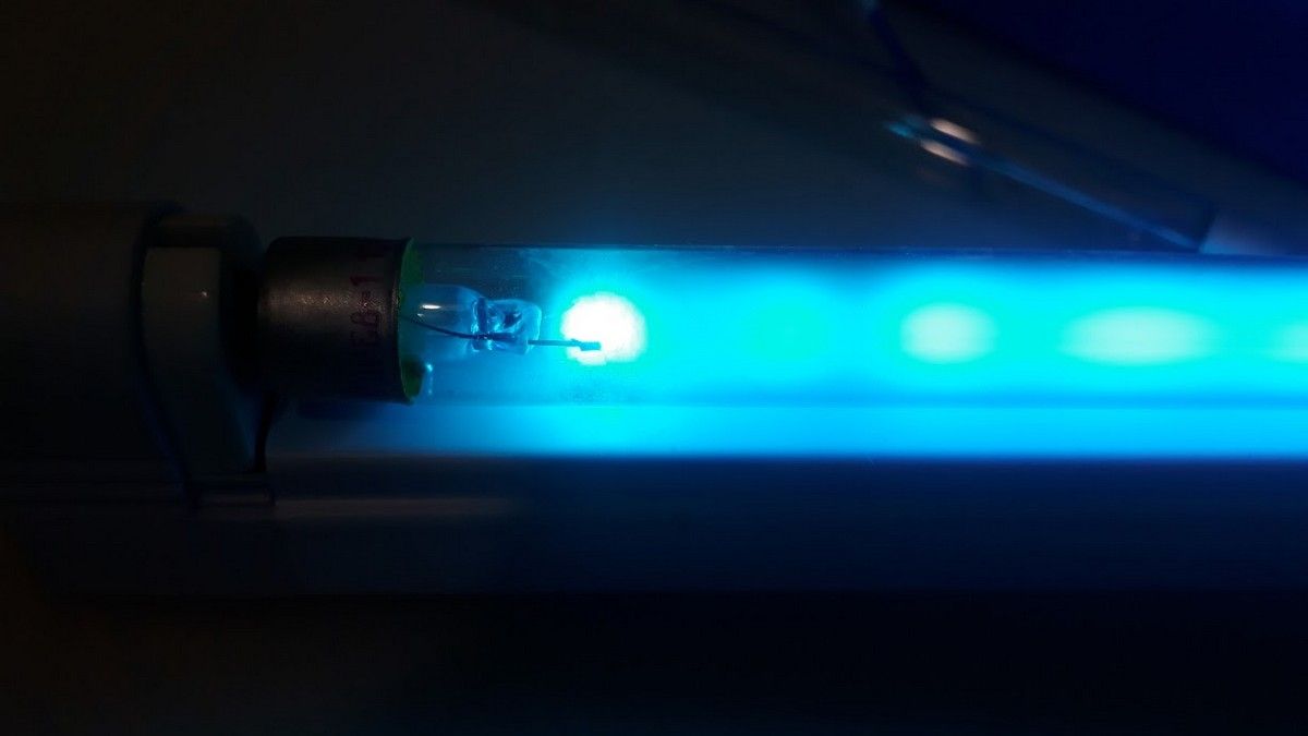 Все заведения Киева обяжут установить бактерицидные лампы