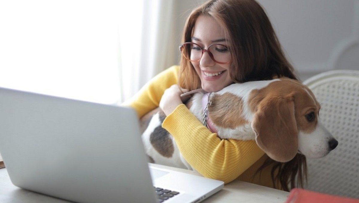 Акция Ласковая Гигализация: гигабитный Интернет от провайдера Сеть Ланет