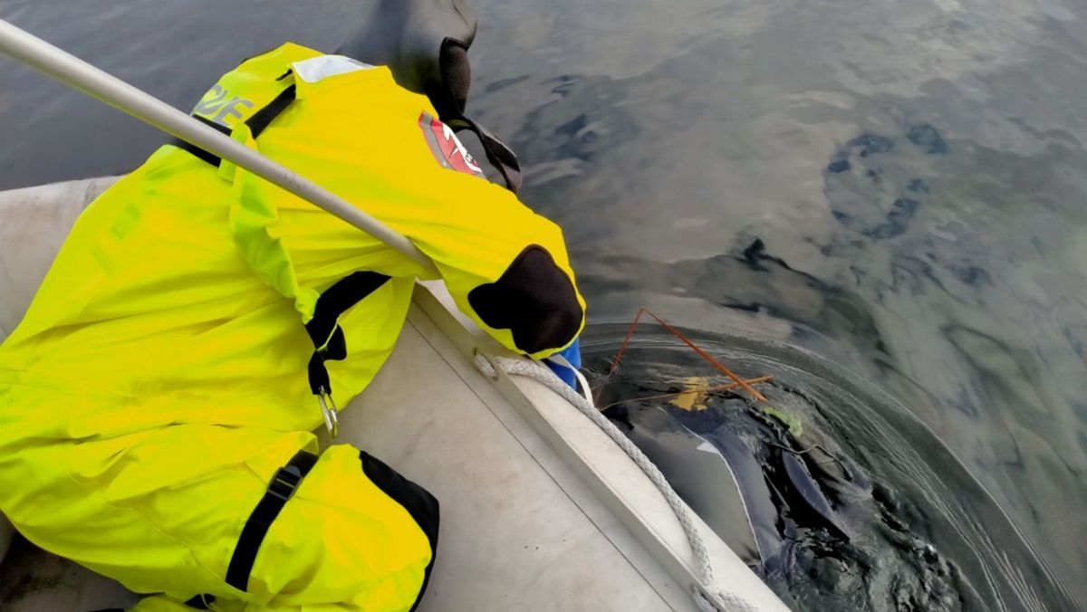 В Киеве возле Южного моста выловили женское тело