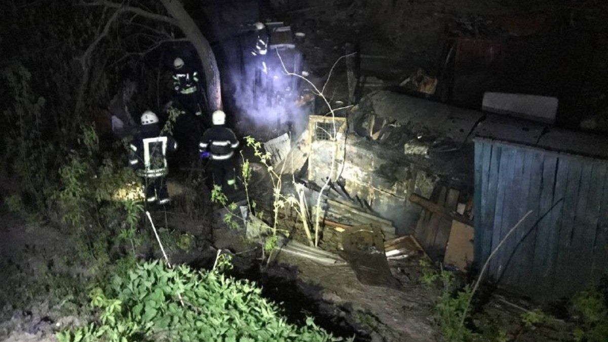 В Киеве загорелся приют для собак