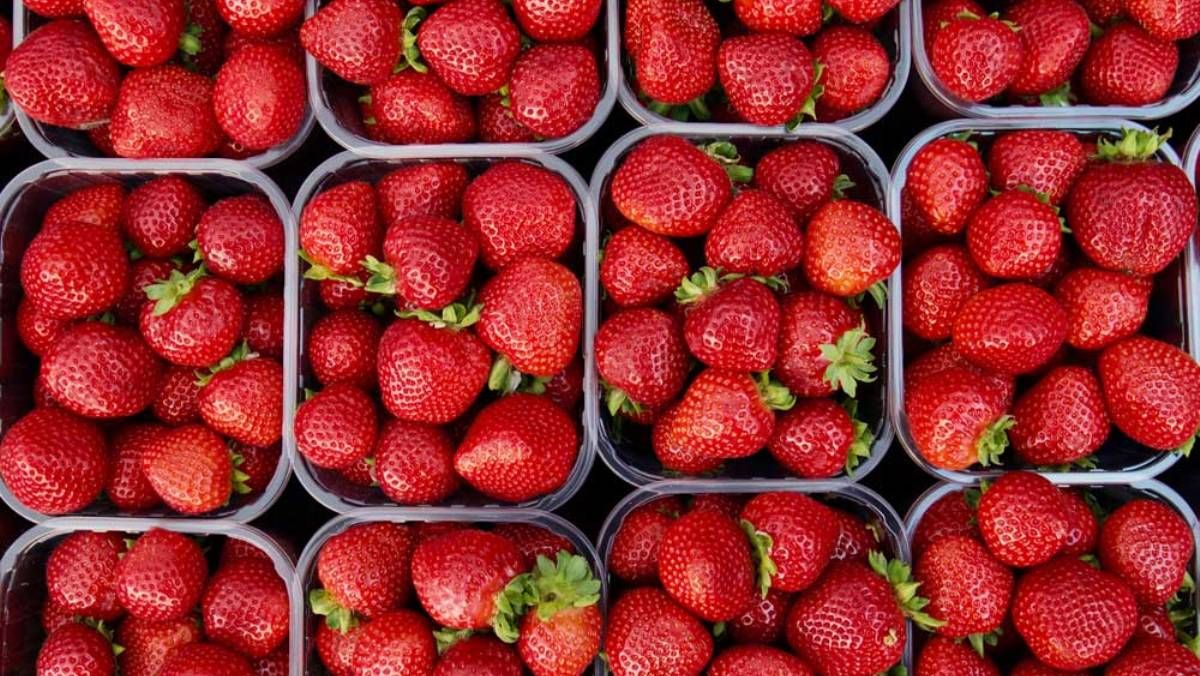 Где в Киеве купить сладкую клубнику