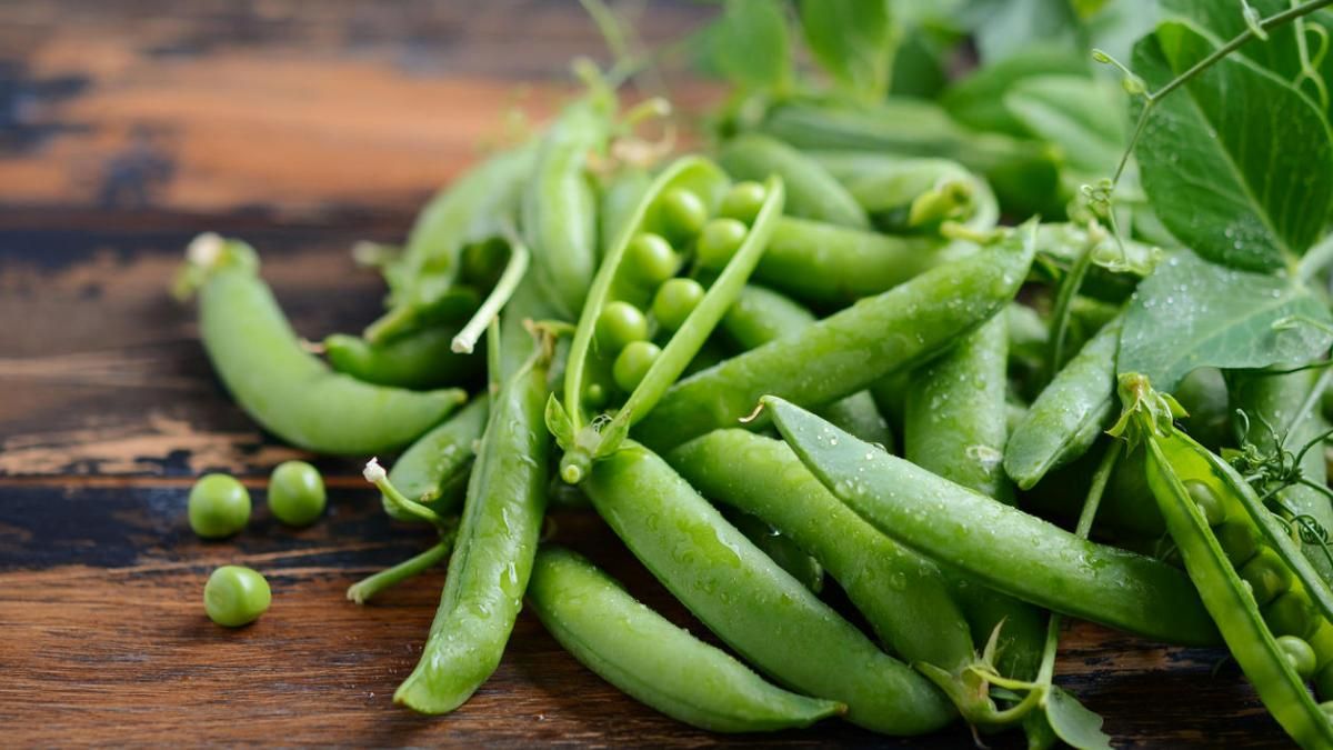 Где в Киеве купить молодой горошек, зелень и свежую редиску возле дома: адреса