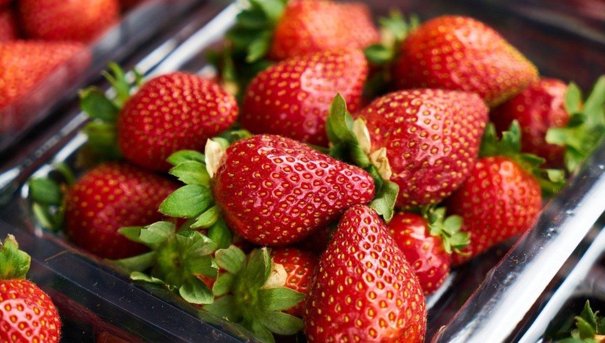 Где в Киеве купить натуральную клубнику, огурцы и помидоры возле дома: адреса