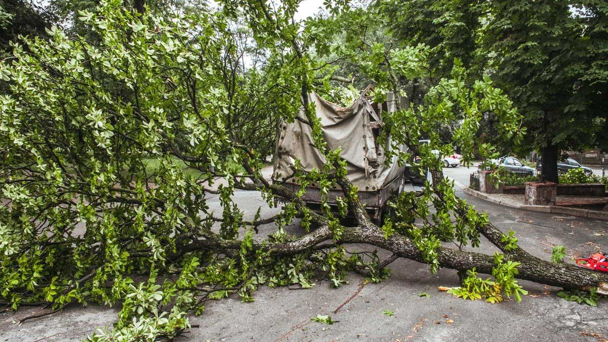 В Киеве объявили желтый уровень опасности: нужно закрыть окна и держаться подальше от рекламных щитов и деревьев