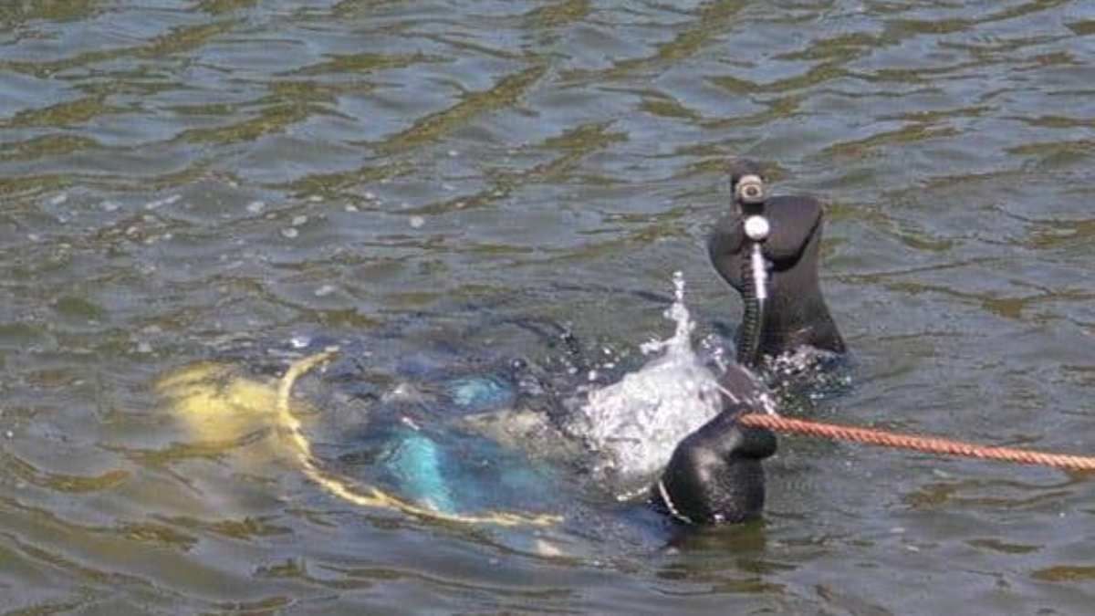 В Киеве из озера возле парка Партизанской славы выловили тело человека