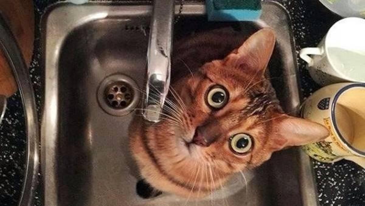 Где в Киеве пропала холодная вода из-за аварий: список адресов