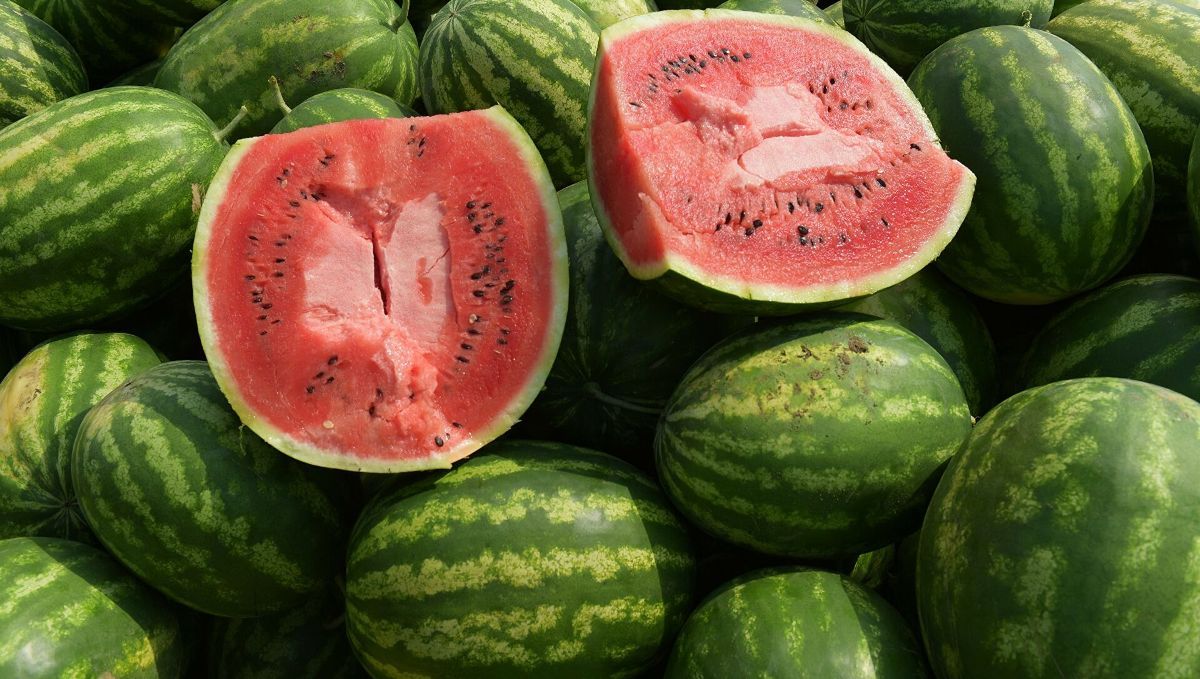 Где в Киеве купить спелые баклажаны и сочные арбузы: адреса