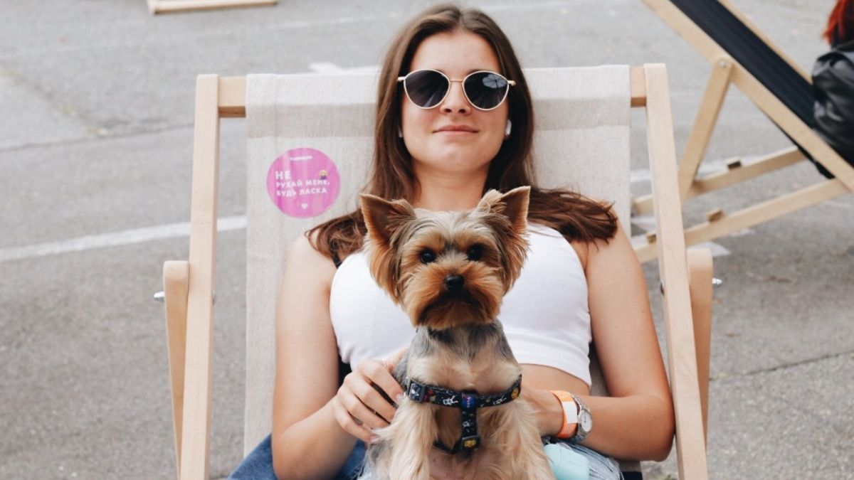 В Украину пришел антициклон с романтическим именем Elfi: какая погода будет в Киеве