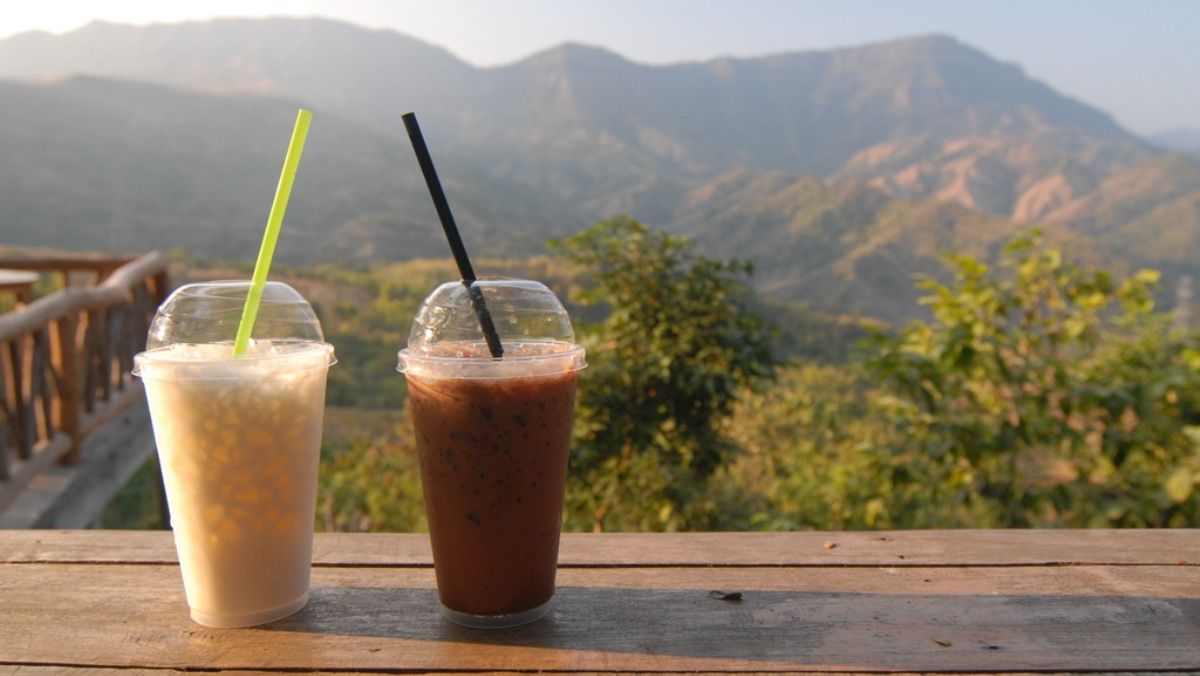 Биоразлагаемая одноразовая посуда – бережное отношение к природе и собственному организму