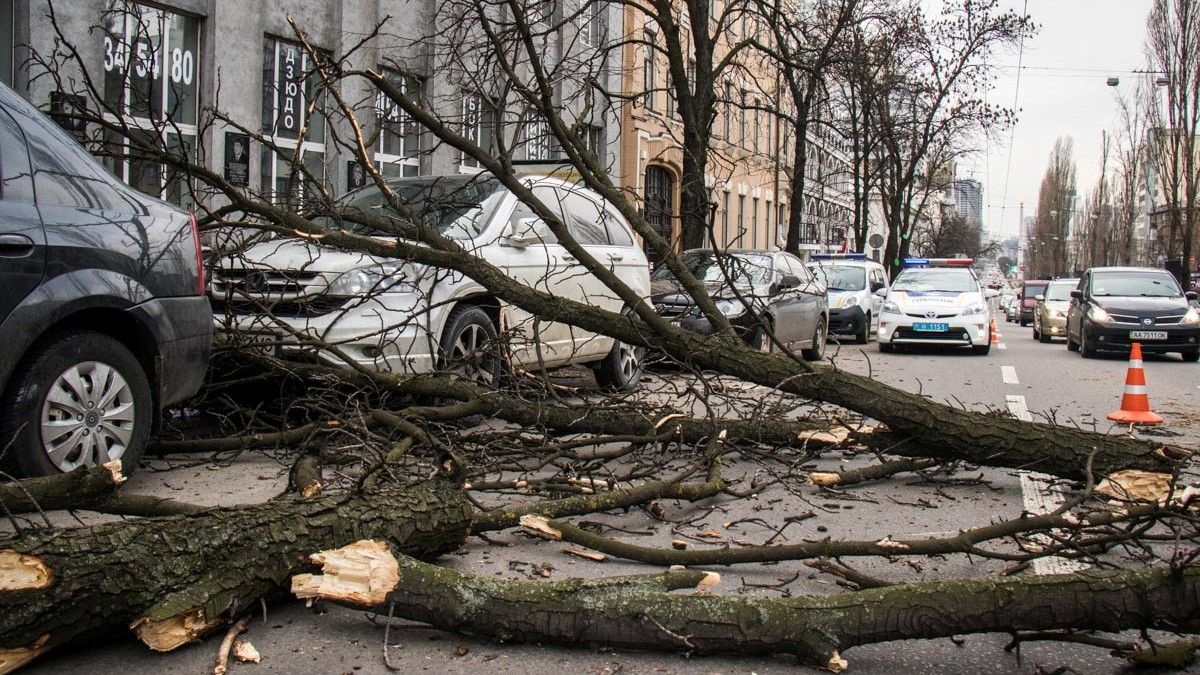 В Киеве будет опасно приближаться к рекламным щитам и деревьям: объявили желтый уровень опасности