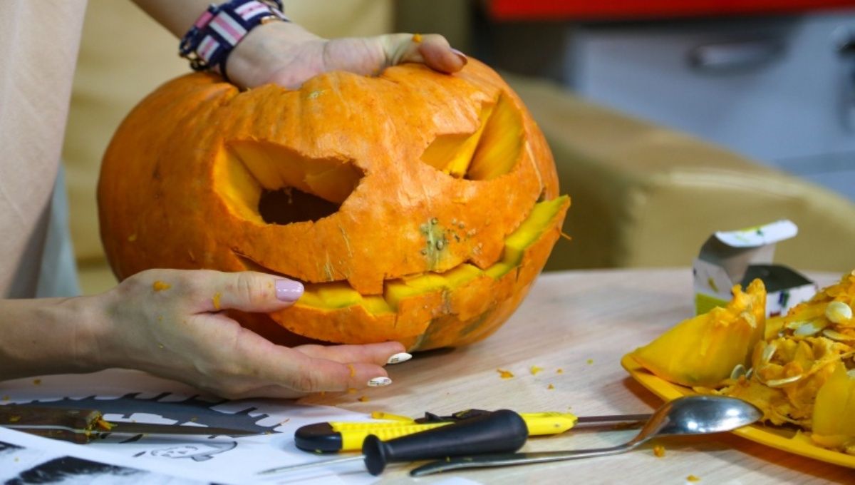 Где в Киеве купить тыкву для Хэллоуина: адреса