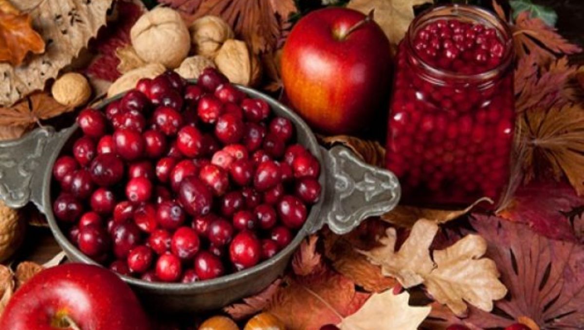 Где в Киеве купить свежие ягоды и фрукты, чтобы сделать запасы на зиму: адреса