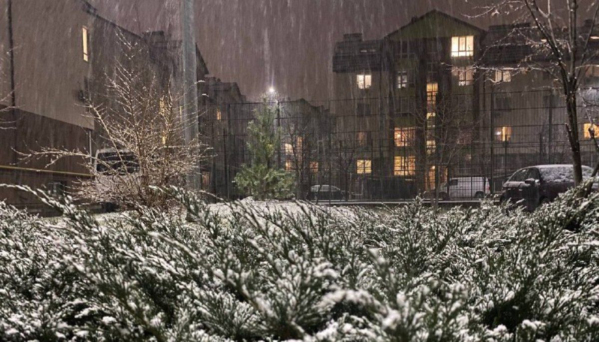 Киев начало засыпать снегом: первые фото и видео с улиц города