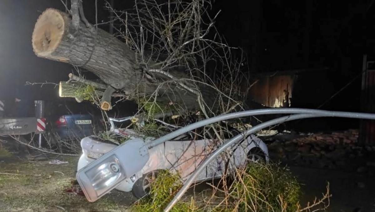 В Киеве будет опасно парковаться у рекламных щитов и больших деревьев