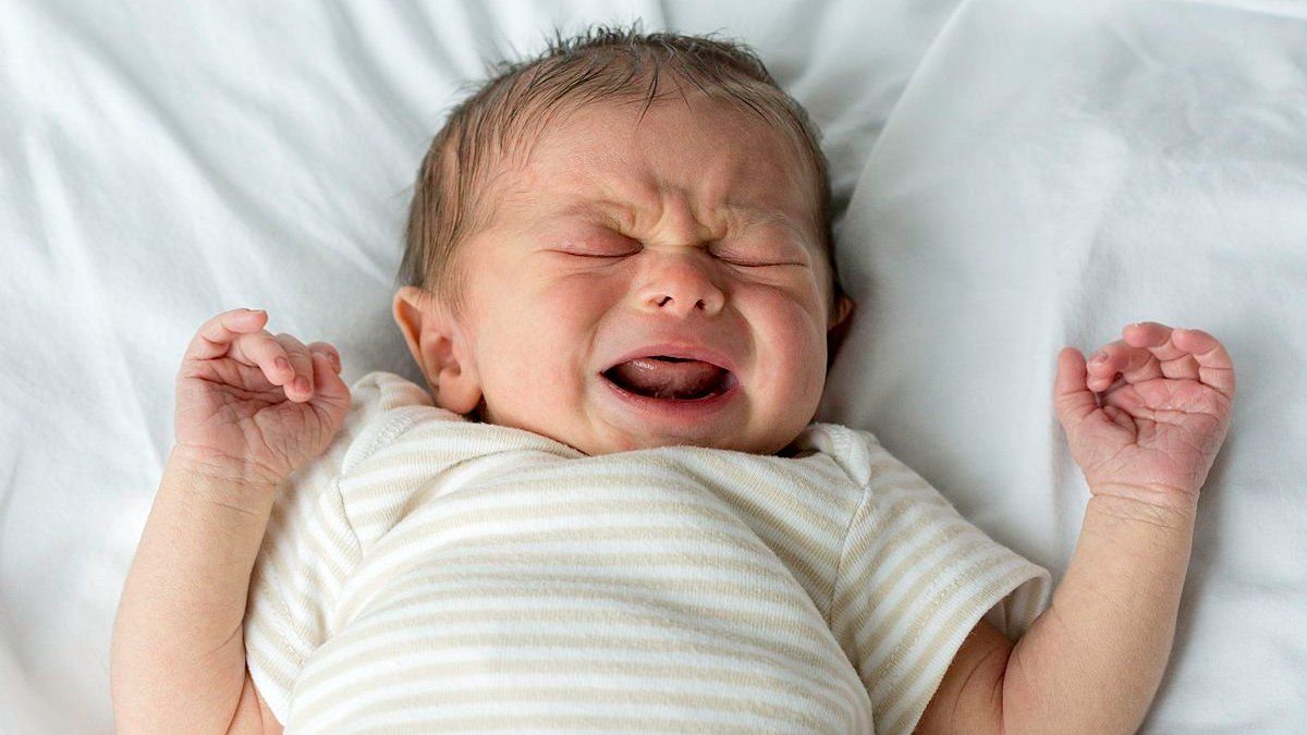 В Киевской области в укрытиях и роддомах родились более 80 малышей