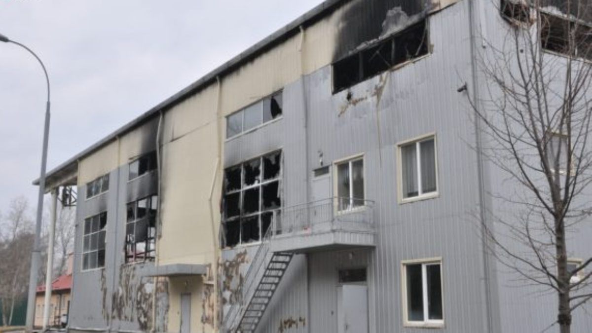 На Межигорье упало две бомбы: как живет парк и его обитатели во время войны