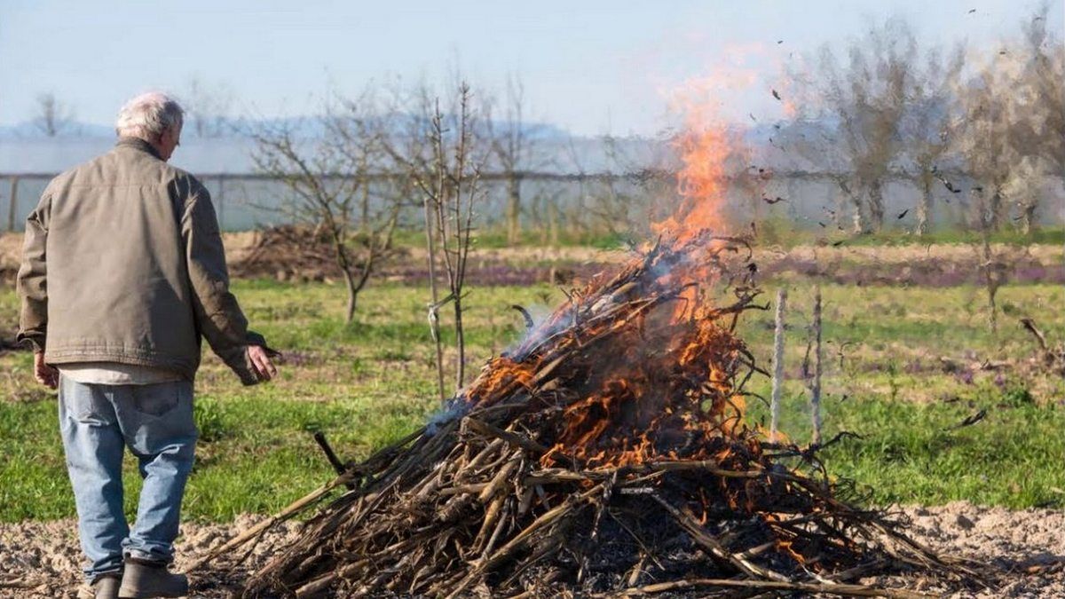 В Киеве запретили гулять в лесопарковых зонах из-за риска пожаров: сколько заплатят поджигатели