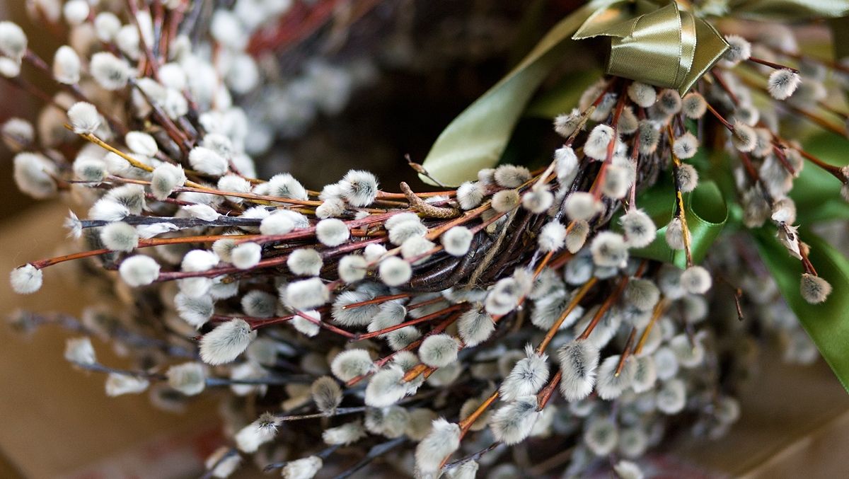 Когда празднуют Вербное Воскресенье 2022: что можно и что нельзя делать в этот день