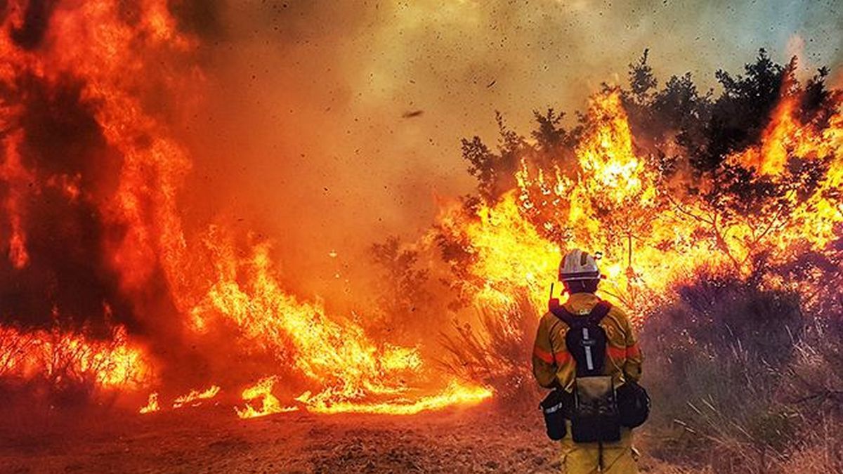 В Киеве и области объявили чрезвычайный уровень пожарной опасности