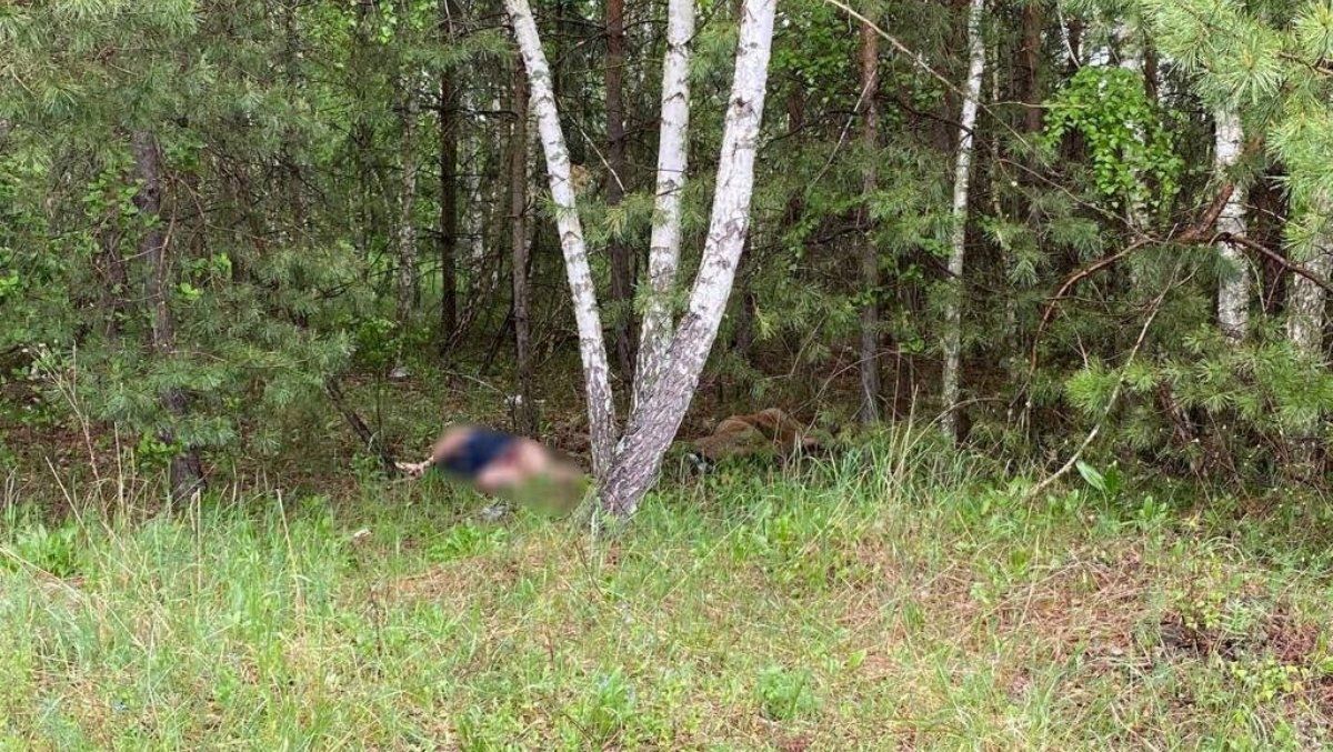 50 ударов ножами: под Киевом мужчина зарезал свою жену в посадке