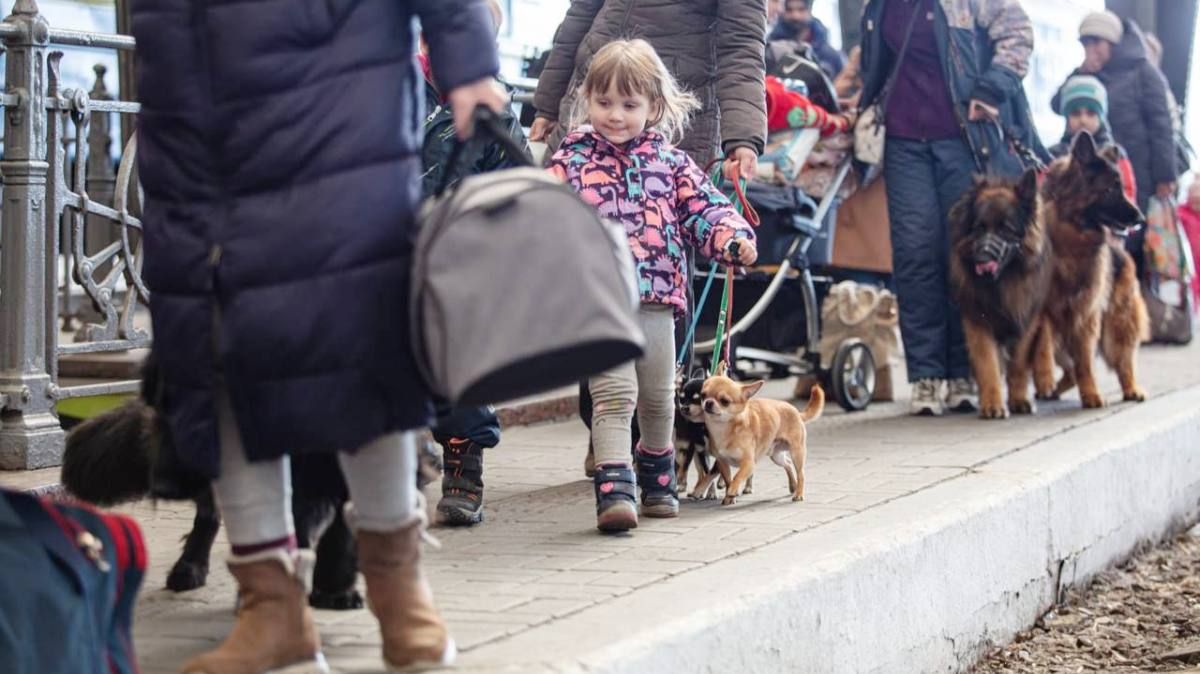 В Киеве зарегистрировали 15 тысяч переселенцев из Мариуполя: сколько всего человек получили статус ВПО