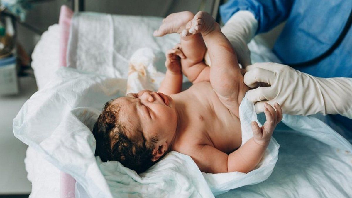 Війна не перешкода коханню: скільки у Києві одружилося пар та народилося немовлят з 24 лютого