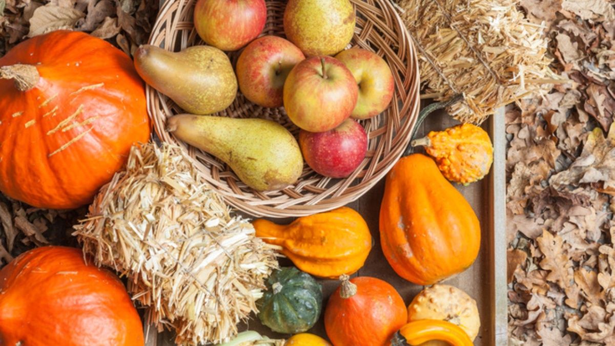 Де у Києві купити гарбузи, яблука та солодкі груші: адреси ярмарок