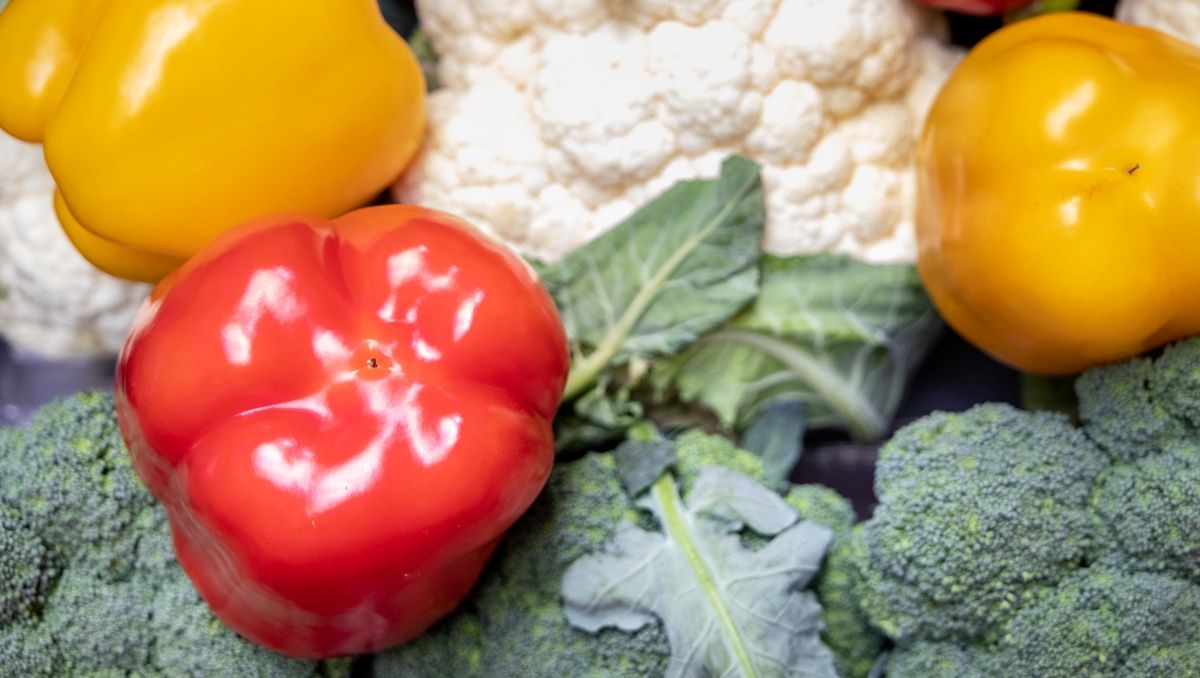 Де у Києві на вихідних пройдуть продуктові ярмарки: адреси