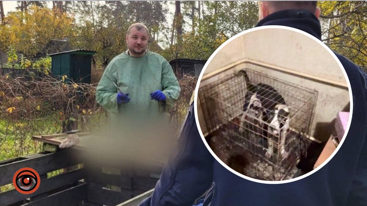 На Київщині чоловік морив голодом породистих 7 цуценят да 2 дорослих псів у розпліднику