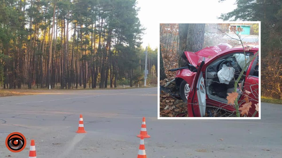 На Київщині Toyota вилетіла з дороги в кювет: водійка загинула на місці