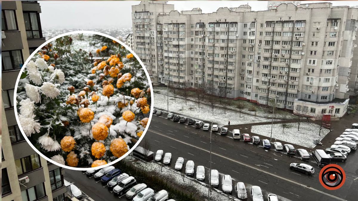 У Києві пішов перший сніг