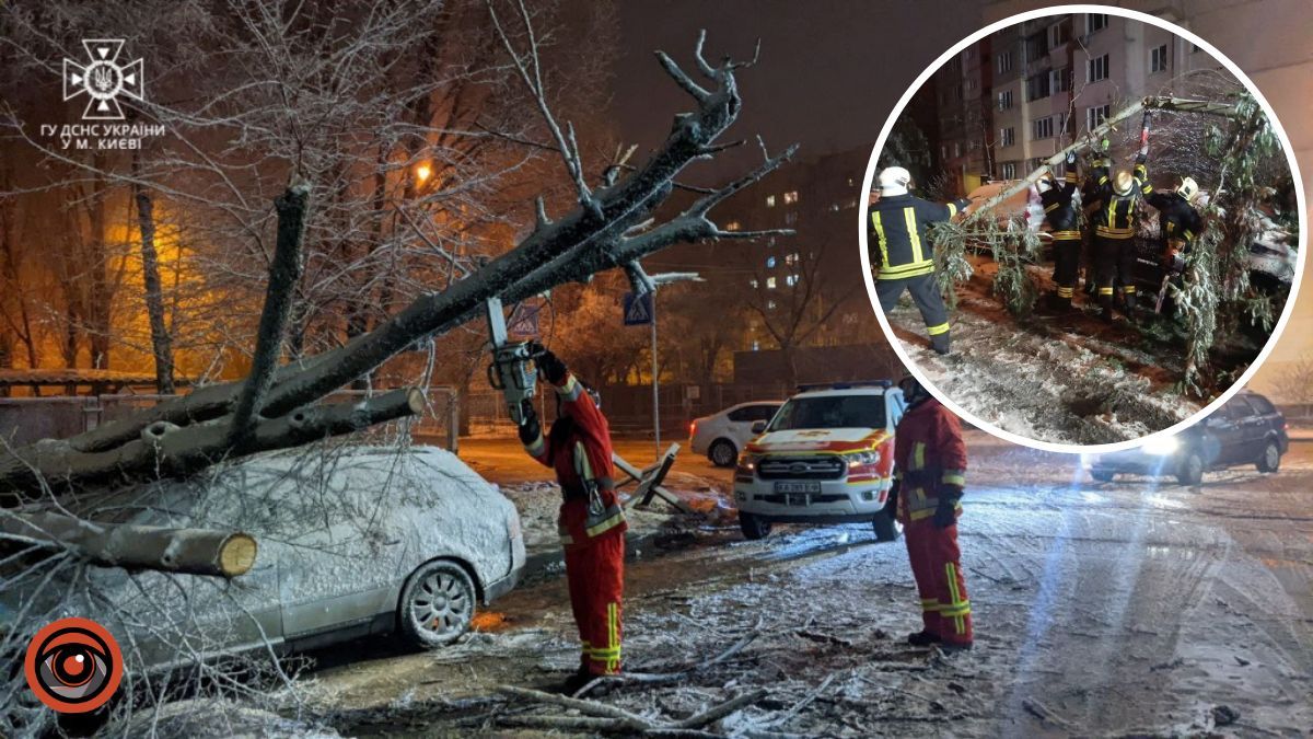 У Києві вітром повалило дерева: наслідки негоди