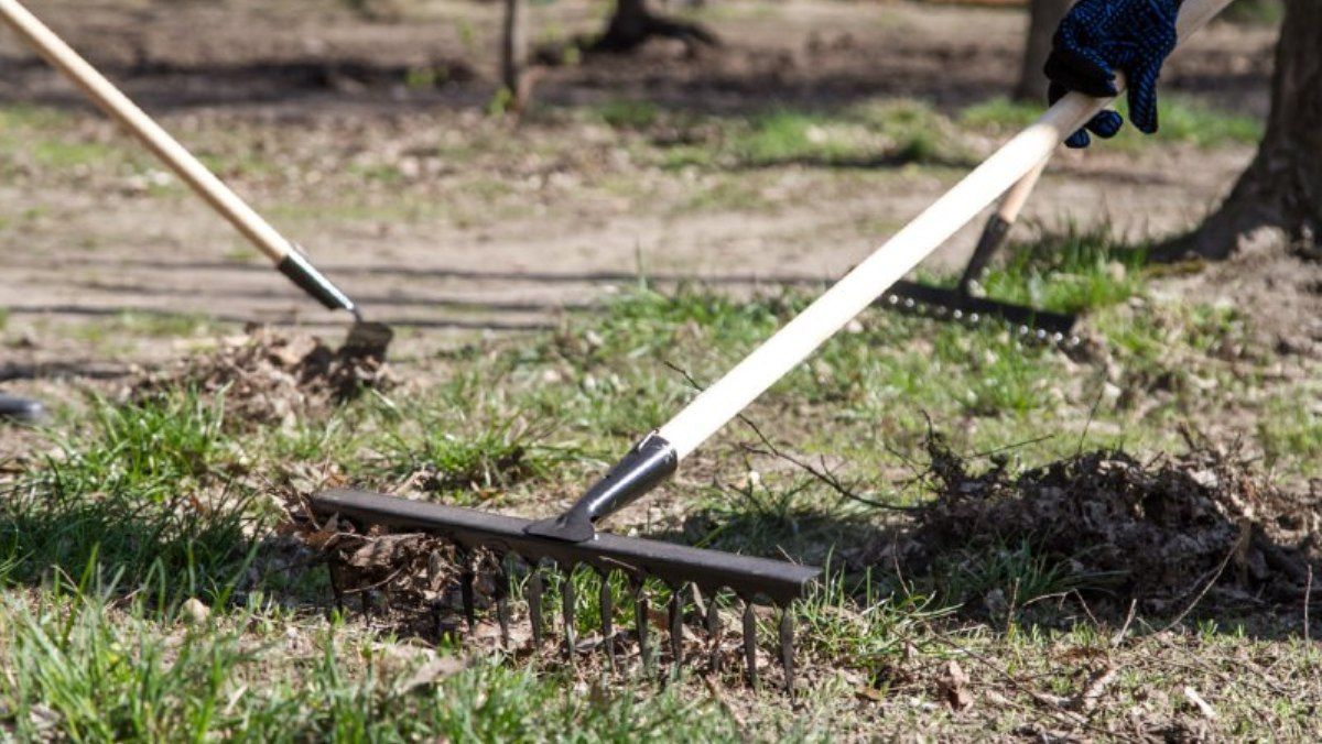 У Києві пройдуть загальноміської толоки: як долучитись до прибирання свого району