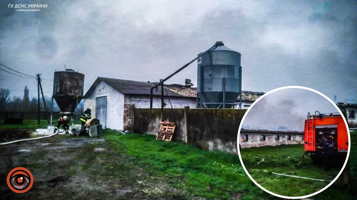 На Київщині під час пожежі загоріла тисяча курей