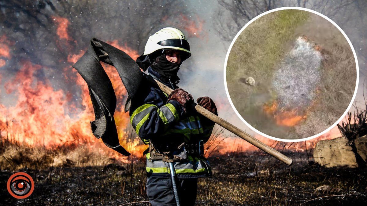 На Київщині чергують дрони рятувальників, щоб попередити пожежі сухостою: які штрафи за підпали трави та сміття