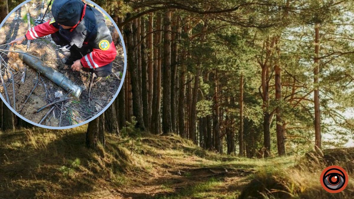 У Києві триває заборона на відвідування лісів: чому